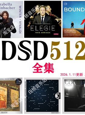 DSD512 1Bit/22.5Mhz Hifi高解析播放 DSF格式