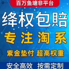 淘宝s店铺代运营天猫网店代营运上钻托管单人工专业推广平台团队