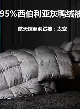 梦洁宝贝2025新款太空95羽绒被