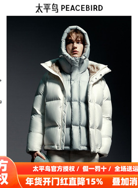 【商场同款】太平鸟男装 2025年冬季新款潮流连帽羽绒服B1ACE4446