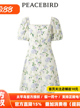 【商场同款】太平鸟女装2026年夏季新款纹样收腰连衣裙A1FAD2G02