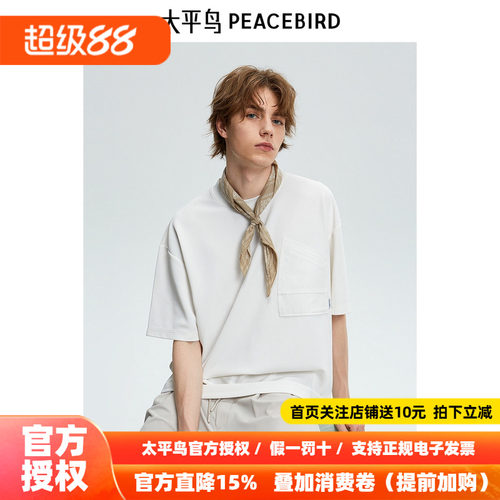 太平鸟男装 T恤男秋季新款短袖体恤B1CNE2C24