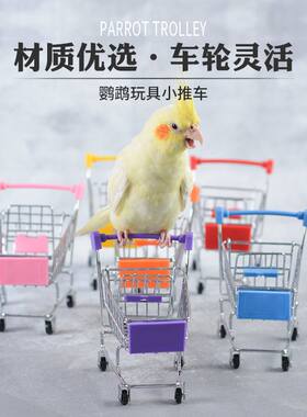 闽笼鹦鹉手推车益智训练