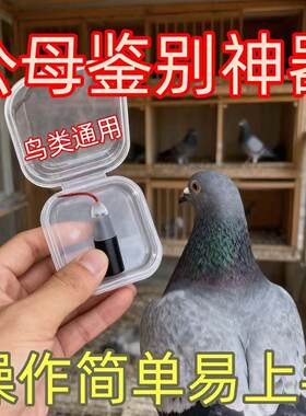 升级款豪华公母鉴别神器