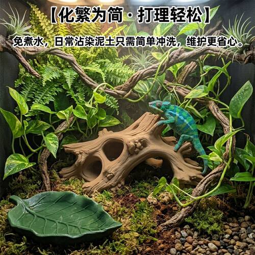 【防霉好蜕皮】爬宠躲避
