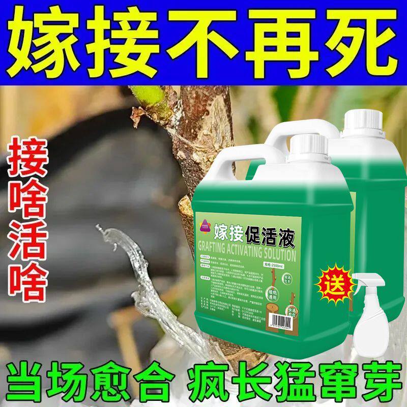 杀虫药花卉植物月季花病虫害常用药除蚜虫非红蜘蛛绿植专用杀虫剂