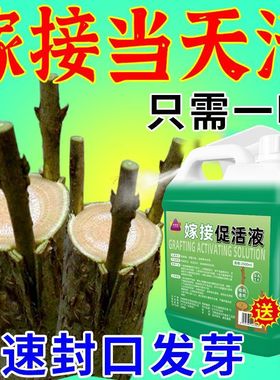 植物嫁接伤口愈合剂果树生根愈伤神器修剪花卉大树盆景切口促活液