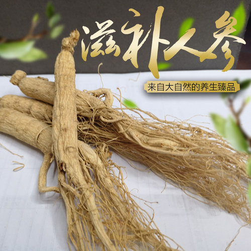 长白山干人参生晒白参整支新鲜野山参泡酒20个250g礼盒装东北特产 - 封面