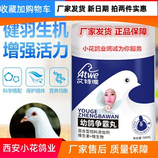 艾特唯幼鸽争霸丸500丸厂家发货信赛种鸽子育雏保健幼鸽夺霸正品
