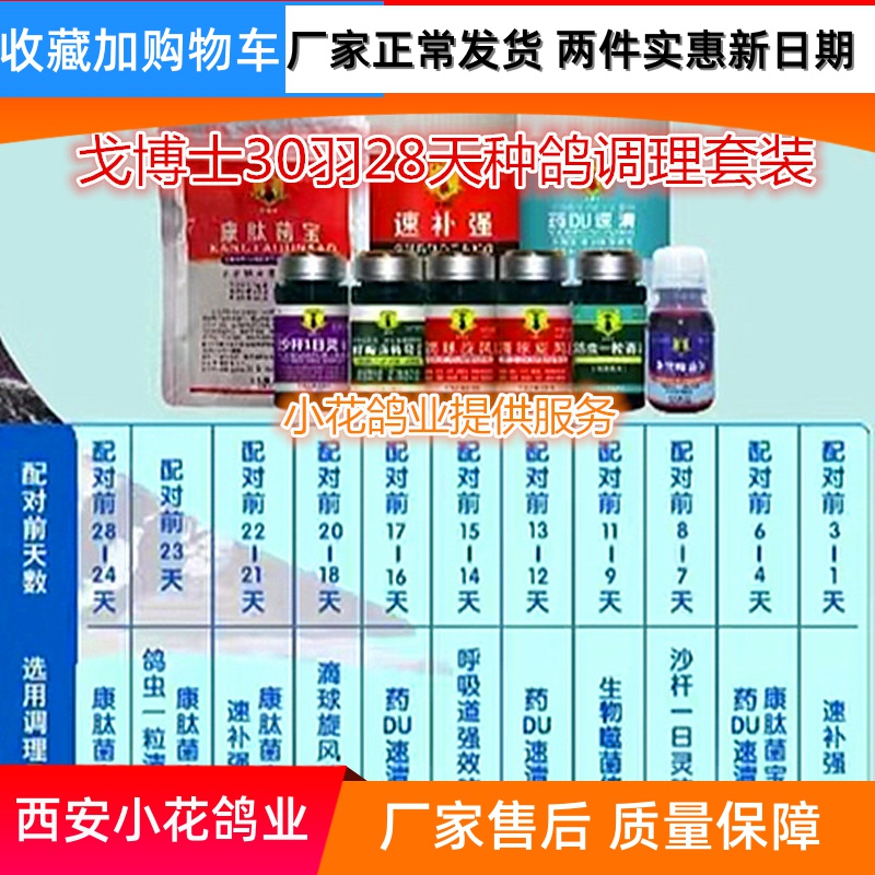 戈博士种鸽调理30羽28天黄金全套种赛鸽整理套装包邮厂家发货正品
