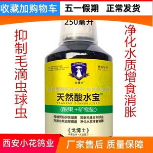 戈博士天然酸水宝250毫升保健病菌毛滴虫球虫鹦鹉信鸽用品正品