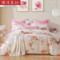 全棉磨毛四件套-粉黛花语