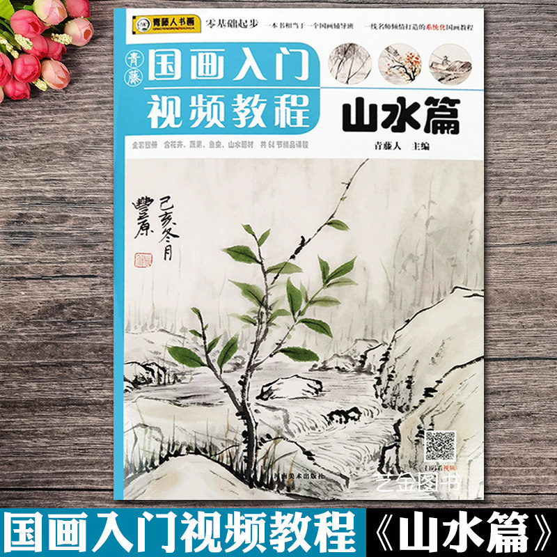 包邮 国画入门视频教程 山水篇青藤人编写意山水画法教程水墨山石树木