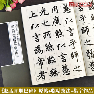 赵孟頫胆巴碑临习指南 原碑帖拓印赵孟府楷书书法教程书坛初探名碑名帖临习系列毛笔楷书临摹技法精解名家集字作品 辽宁美术出版社