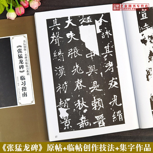 包邮 北魏张猛龙碑临习指南 魏碑楷书毛笔字帖原拓本集字作品书坛初探名碑名帖临习系列姜荣贵魏碑毛笔楷书字帖 辽宁美术出版社