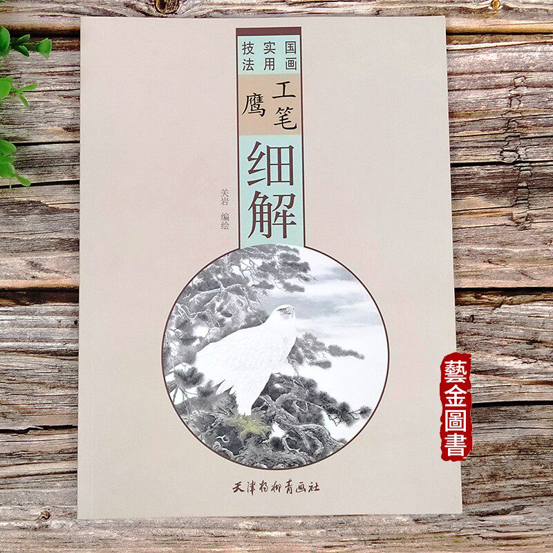 工笔鹰细解 关岩编绘 鹰国画技法教程工笔动物飞禽鸟猛禽骨骼结构羽翼