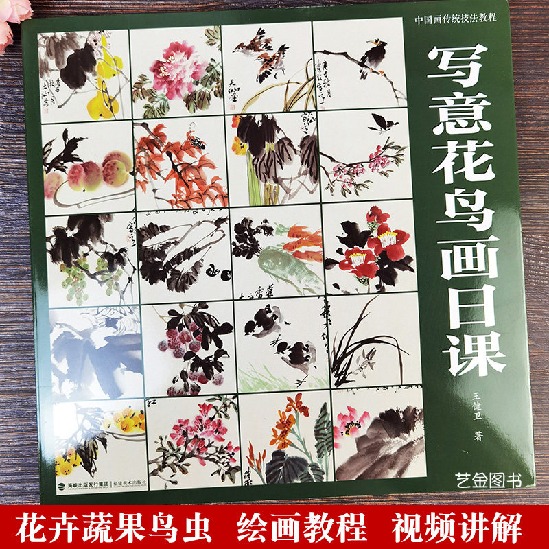 写意花鸟画日课 视频教程中国画传统技法教程 写意花卉画法蔬果禽鸟