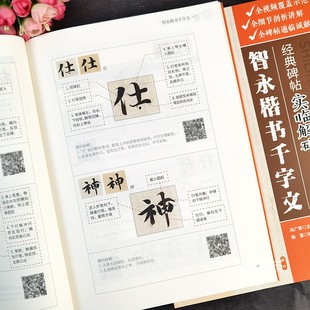 碑帖实临解码 博库网 经典 智永楷书千字文 全视频教学智永书法入门教程基本笔画偏旁结构智永真书千字文临习技法精解书法入门字帖江