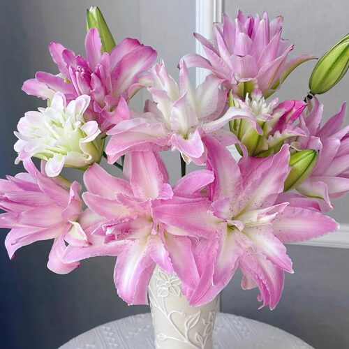 【元宝优选 水蜜桃重瓣香水百合】云南直发鲜花水养鲜切花