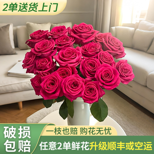 【梦境-弗洛伊德-】任意两单发顺丰冷链/邮政空运