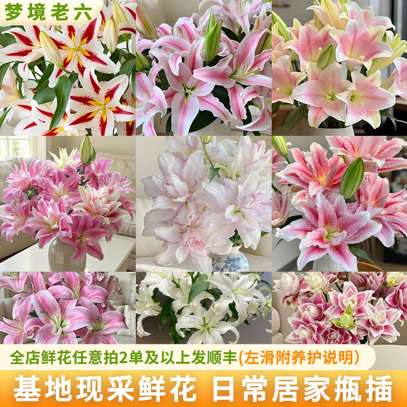 【梦境老六直播专属 】  任意香水百合云南直发鲜花水养鲜切
