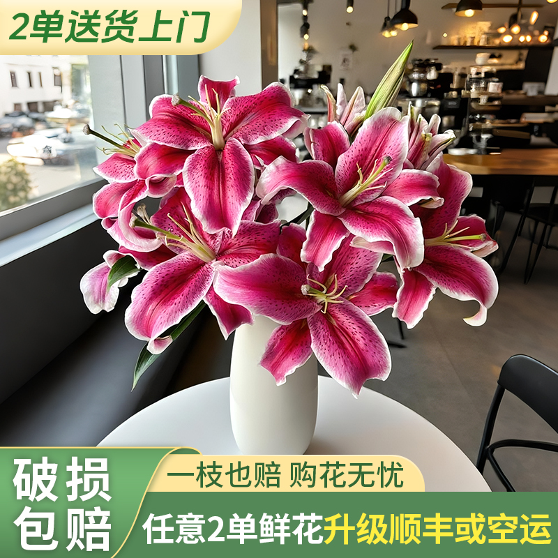 【梦境花卉 黑美人】香水百合 -任意两单发顺丰冷链或德邦快运