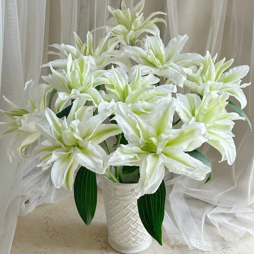 【元宝优选 艾莎重瓣香水百】 云南直发鲜花水养鲜切花