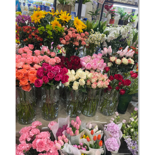 【梦境花卉 鲜花大礼包】 -一单发普通快递，到货自提