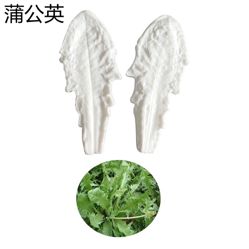 蒲公英叶子翻糖花硅胶模具英式干佩斯印模压模烘焙黏土花工具