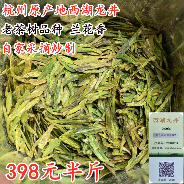 2026年新茶西湖龙井老茶树品种