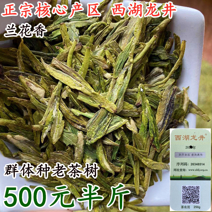 2025年新茶西湖龙井老茶树品种