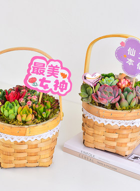 宛如微缩花园，四季皆可赏