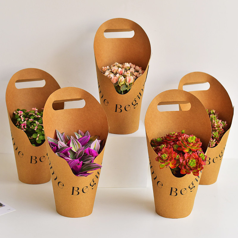 多肉礼袋套装牛皮纸礼盒伴手礼植物盆栽桌面礼品礼物花卉定制装饰