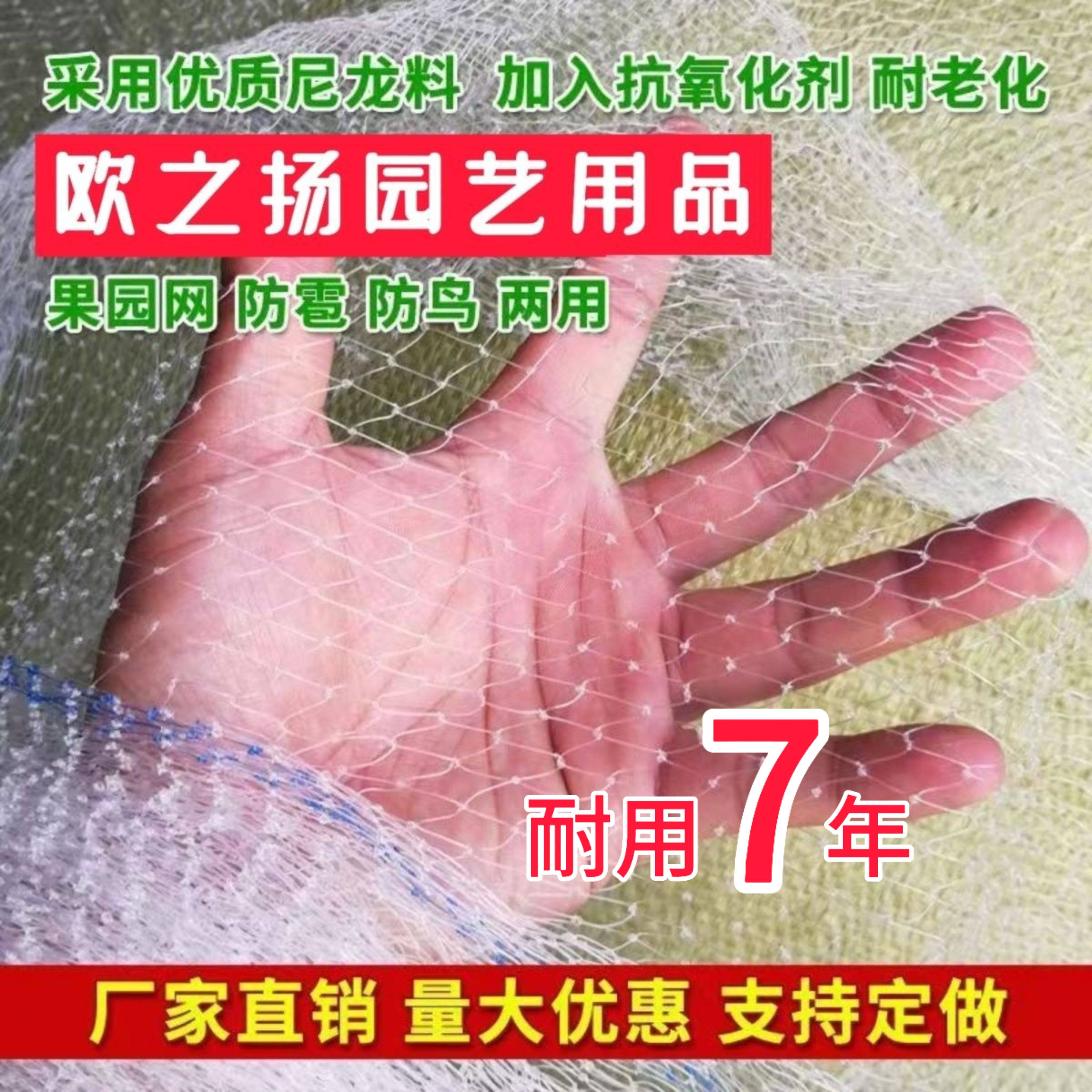 果树防鸟网果园天网樱桃葡萄园防鸟用的网罩谷子泥鳅鱼塘养殖网