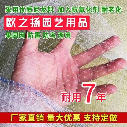 果树防鸟网果园天网樱桃葡萄园防鸟用的网罩谷子泥鳅鱼塘养殖网