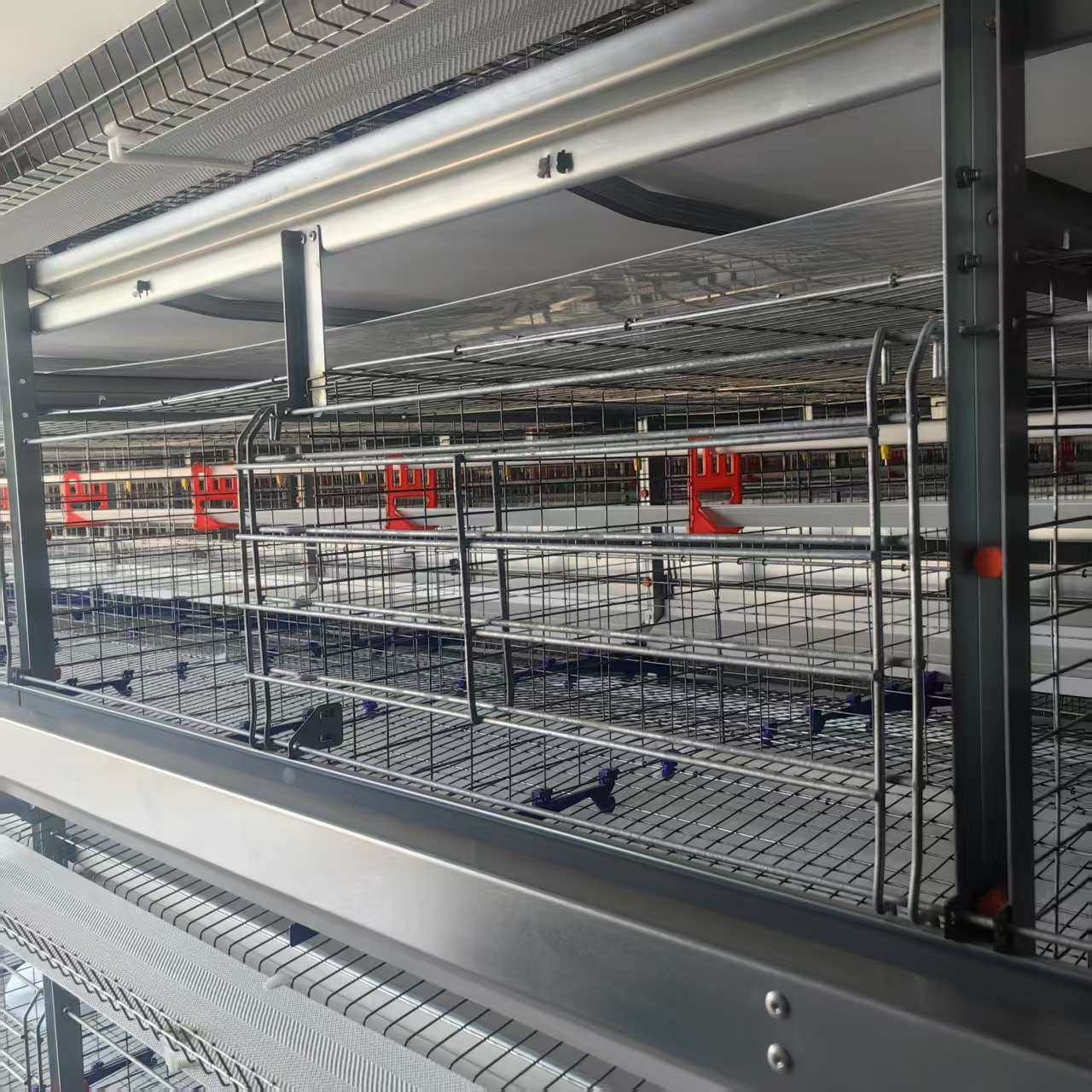 鸡笼子蛋鸡笼肉鸡笼自动捡蛋养鸡场设备可来图制镀锌笼合金丝笼