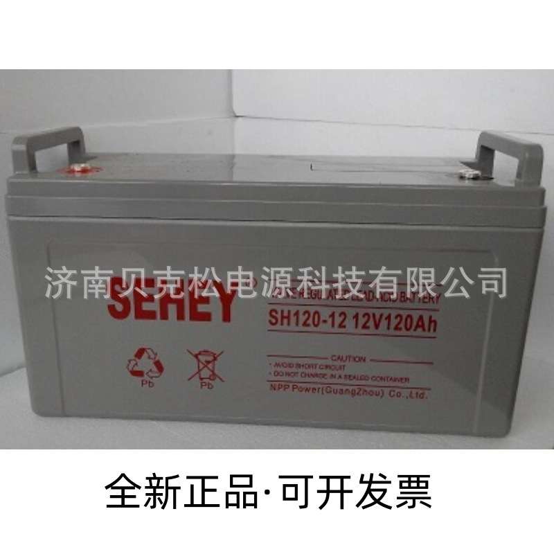 西力铅酸蓄电池NPG12-100SH太阳能发电船舶12v100a电瓶深循环