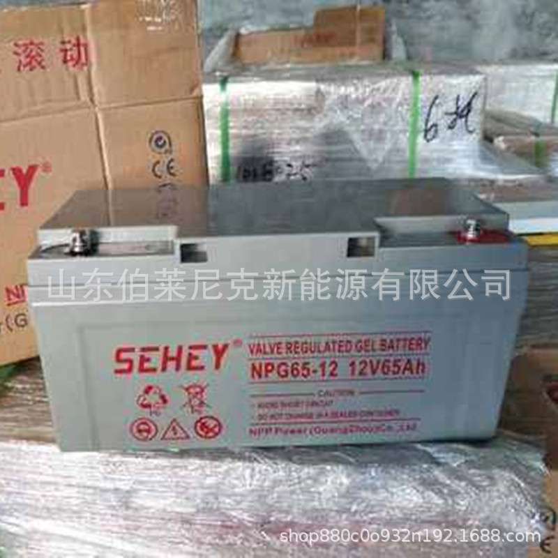SEHEY西力蓄电池12V250AH NP12-250铅酸免维护UPS电池 EPS太阳能