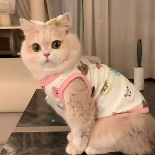 宠物猫咪衣服狗狗通用背心蓝金渐层布偶猫幼猫春夏新款防掉毛服饰