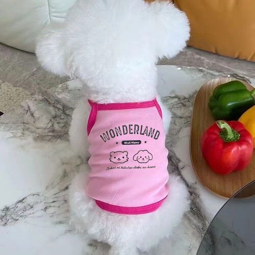 宠物衣服夏季薄款小熊印花吊带背心泰迪比熊狗狗猫咪空调房家居服