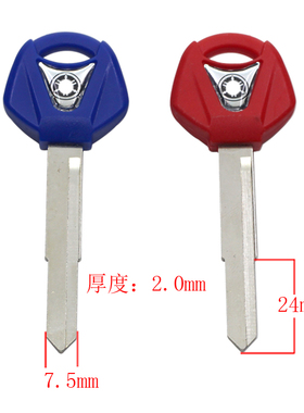 [C601]-摩托车胚 左,钥匙胚子 随机发货雅