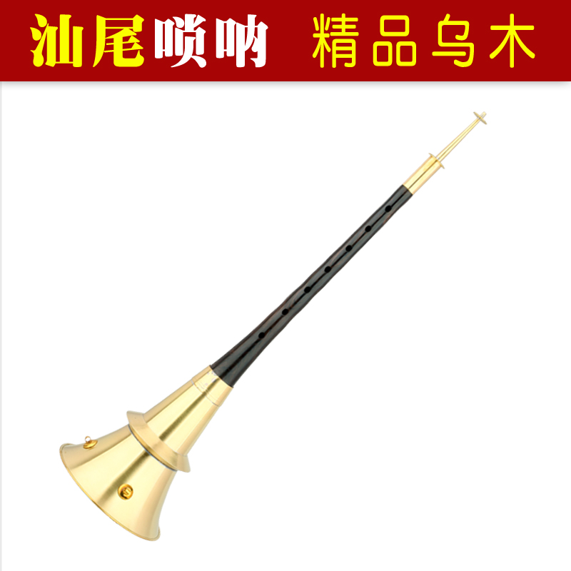 海陆丰大吹广东汕尾唢呐吹盾吹裤