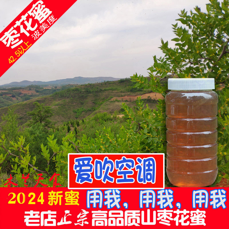 2025新鲜酸枣花蜂蜜蜂农纯正天然野生封盖成熟蜂蜜山枣花蜜2斤