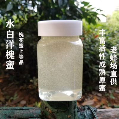 延安白色成熟洋槐蜜蜂蜜