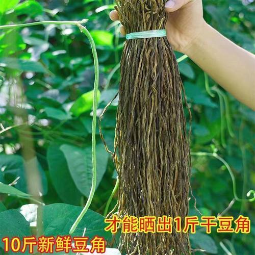 农家自晒干豆角东北铁锅炖干豆角