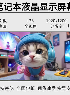 联想thinkpad X13 gen2 液晶显示屏幕NV133WUM-N61 MND307QS1-1