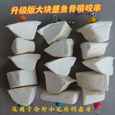鹦鹉脱盐磨嘴补钙墨鱼骨串