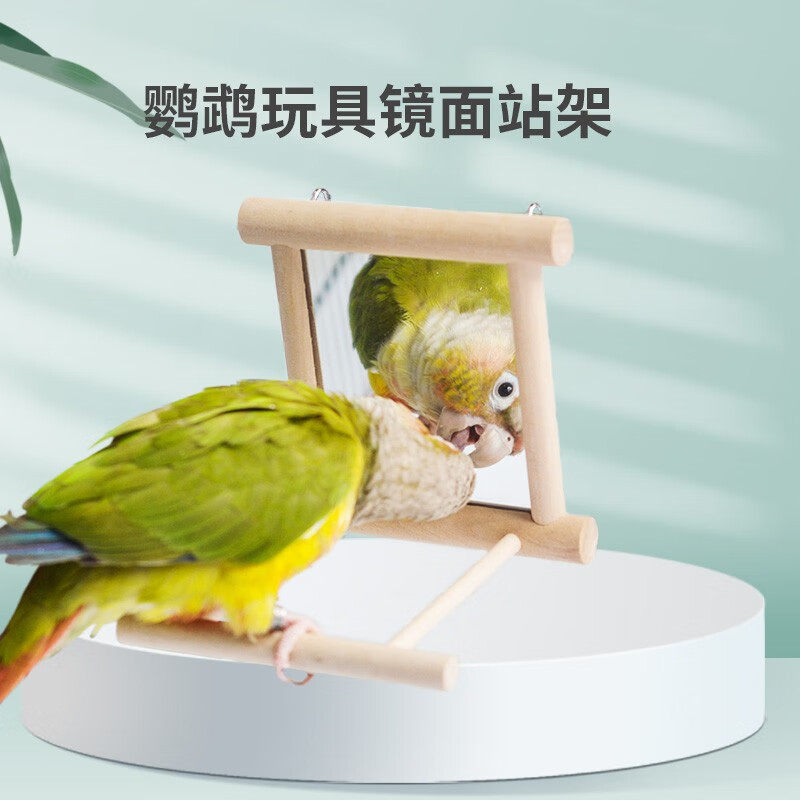 鹦鹉实木站杆镜子悬挂架解压玩具互动中小鸟笼子玄凤牡丹虎皮用品,宠物/宠物食品及用品,鸟玩具,淘宝优惠券,粉丝福利购,淘宝优惠卷