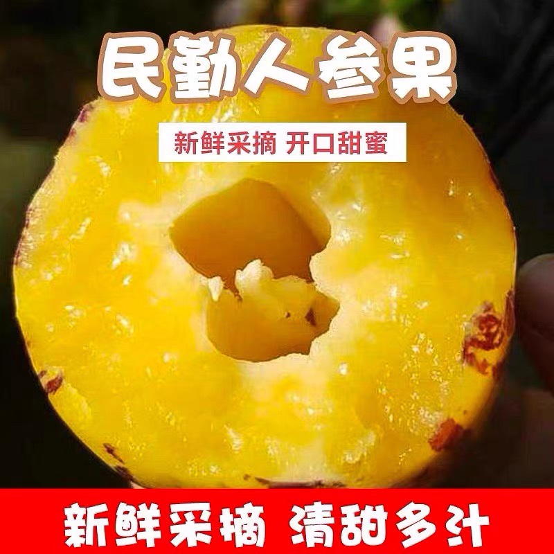 【十个勤天】助农甘肃民勤沙漠人参果净重5斤低糖水果现摘现发