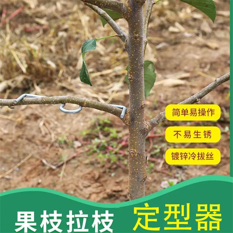 果树拉枝器SM定型器弯枝器开角器柑橘苹果树压枝拨枝别枝器开角器